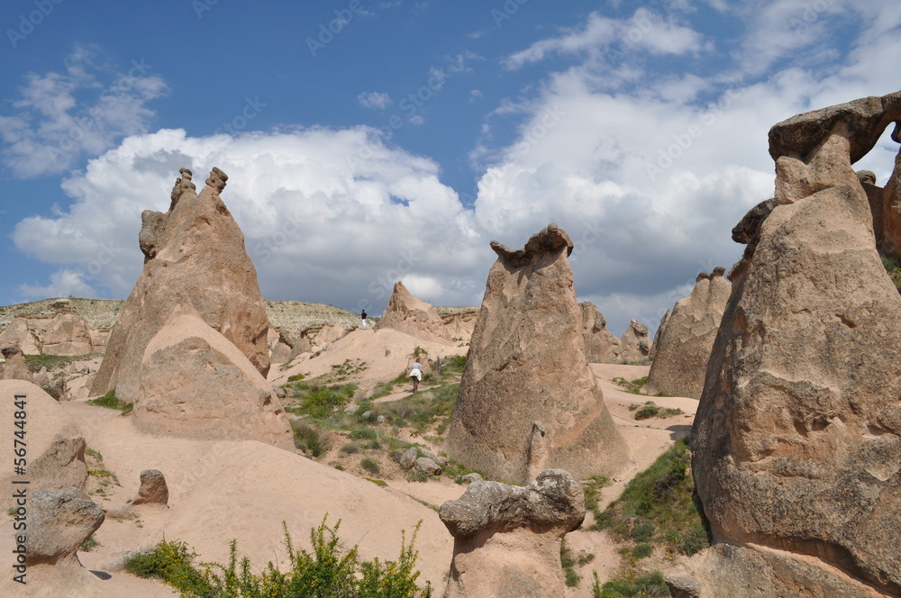 Fototapeta premium Vallée de Devrent, Cappadoce