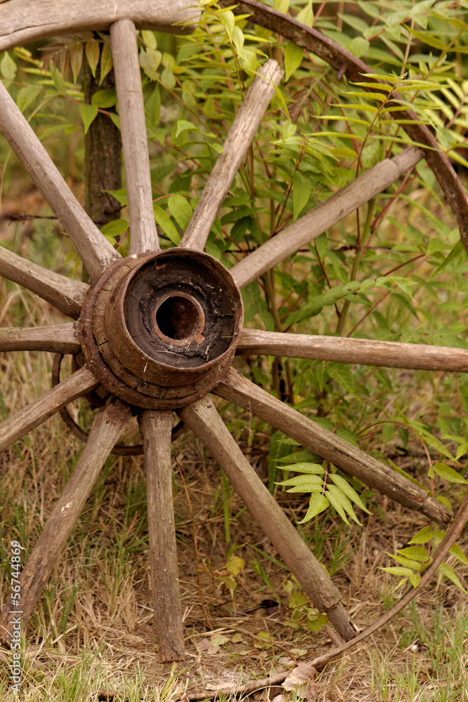 old wagon wheel