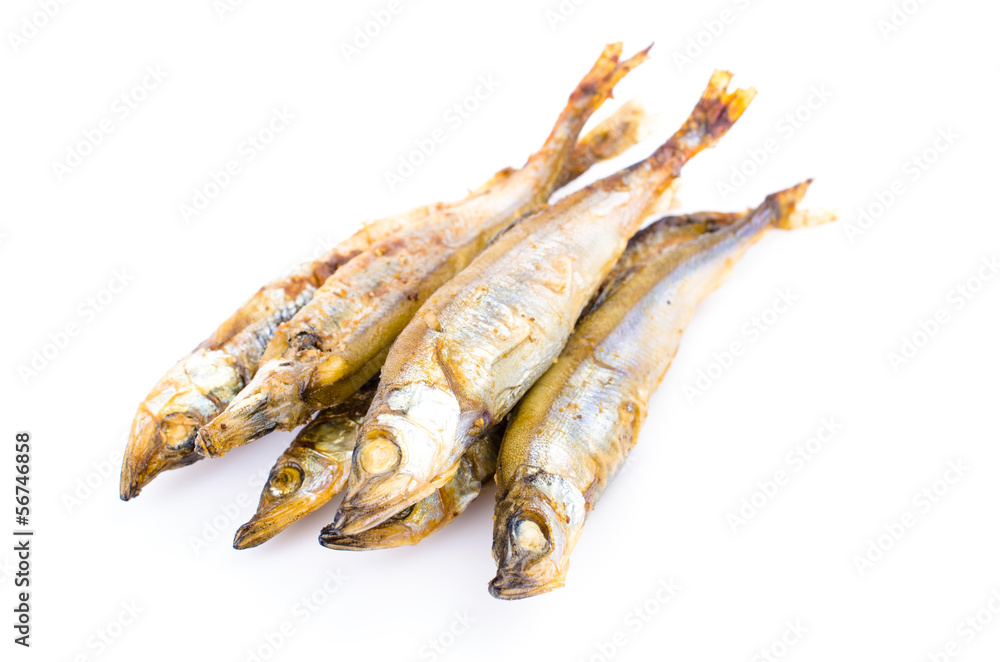 Shishamo Shishamo