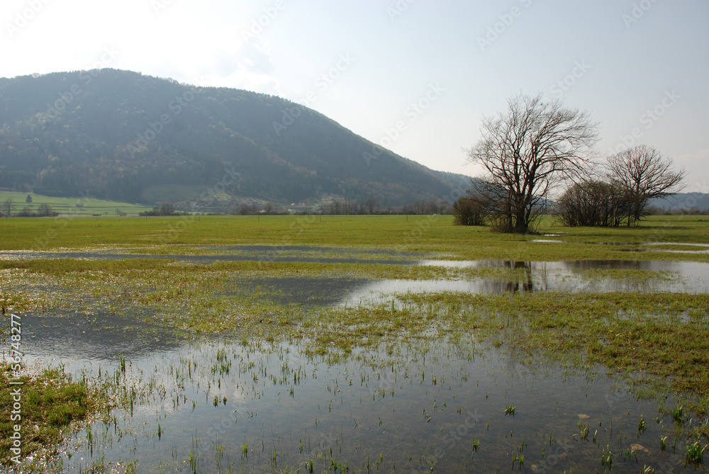 Slovenian Wetlands