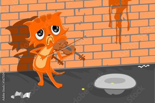 Poor cat