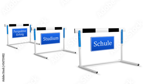 Die Hürden des Lebens. Schule, Studium Perspektive, Erfolg