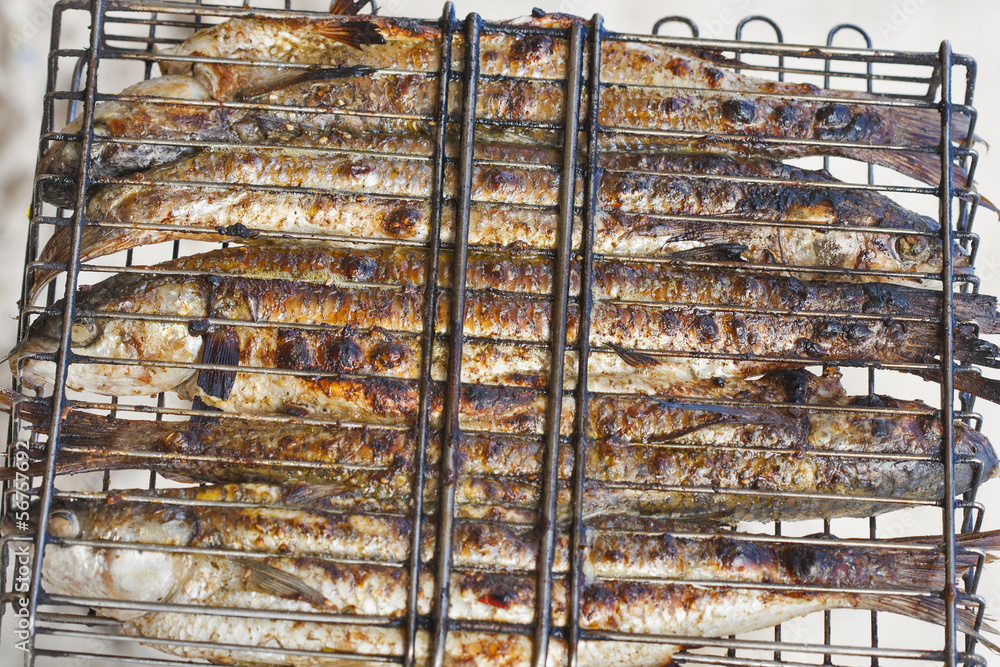 grilled mullet closeup