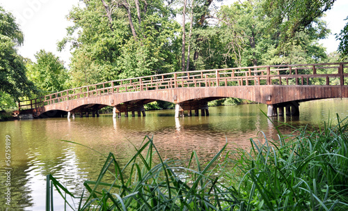 Bridge over the water park Lednice  Czech Republic