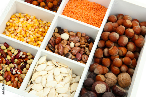 Assortment of chestnut,beans,.dry briar, nuts etc in white