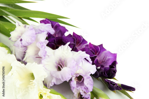 Fototapeta Naklejka Na Ścianę i Meble -  Beautiful gladiolus flower isolated on white