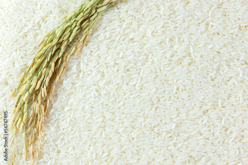 Foto Rice grain