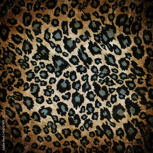 Leopard pattern