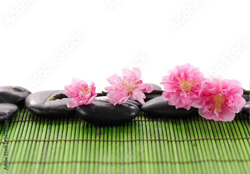Camellia on black stone on bamboo green mat