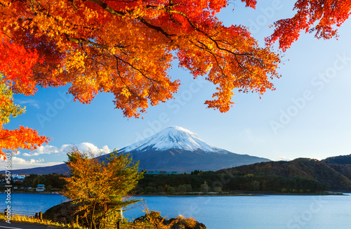Fototapeta Góra Fuji jesienią