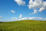 Summer landscape with meadow and blue sky