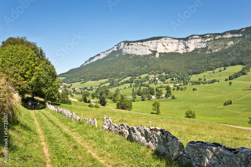 Fotografie, Obraz Chemin herbeux dans le Vercors, Drôme, France