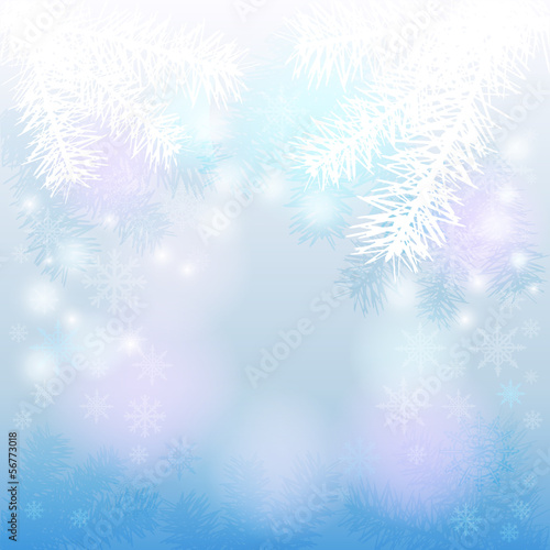 Christmas background with fir branches and snowflakes