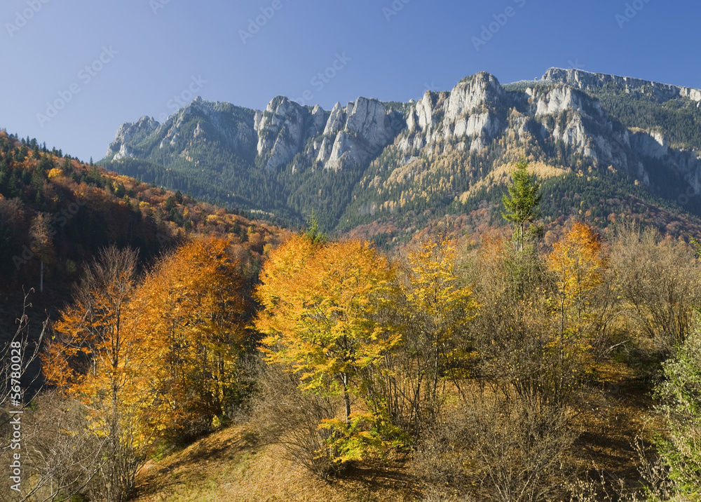 Mountain landscape with autumn trees