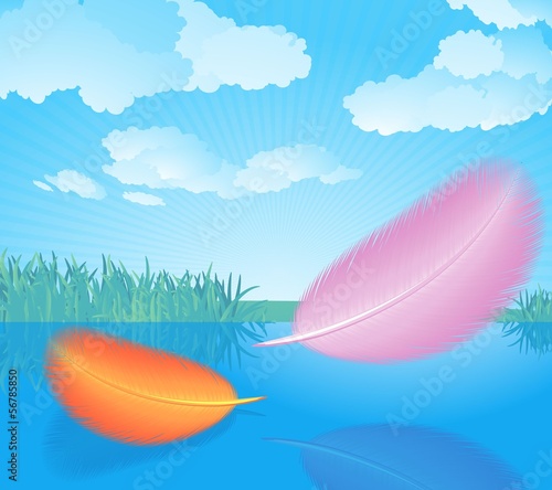 Feathers. Vector.