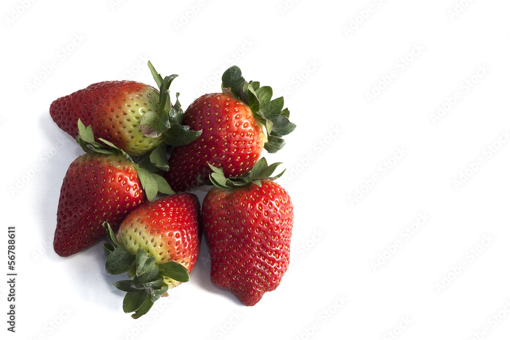 Fresas Fresas
