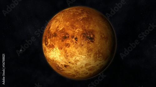 Venus Animation photo