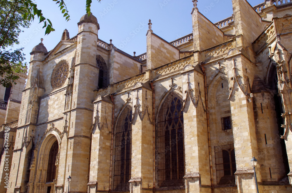 Basilique Sainte-Marie  d'Auch