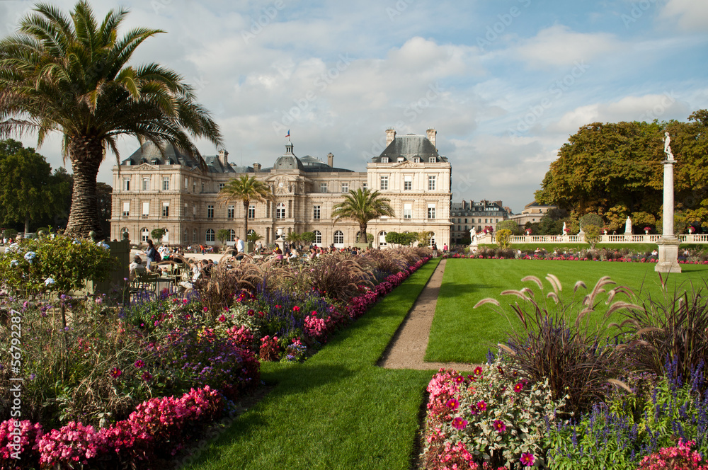 Fototapeta premium jardin du luxembourg à Paris