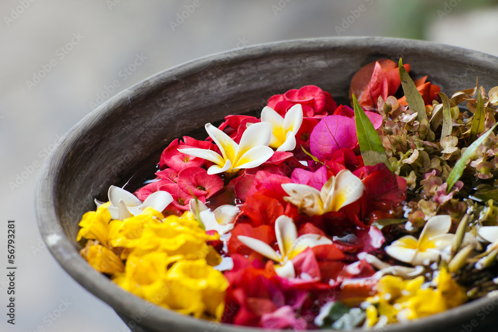 fresh and beautiful flowers in a pot, Bali, Indonesia