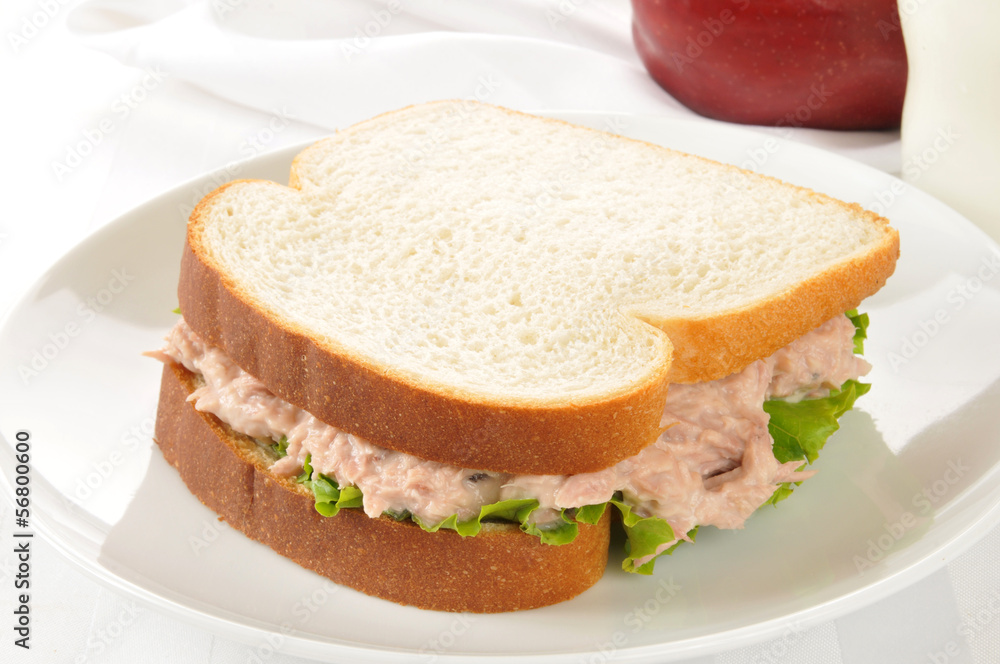 Tuna sandwich with an apple and milk Tuna sandwich with an apple and milk