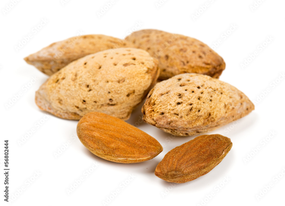 fresh almonds fresh almonds