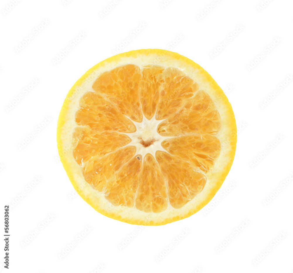 slice of orange fruit isolated slice of orange fruit isolated