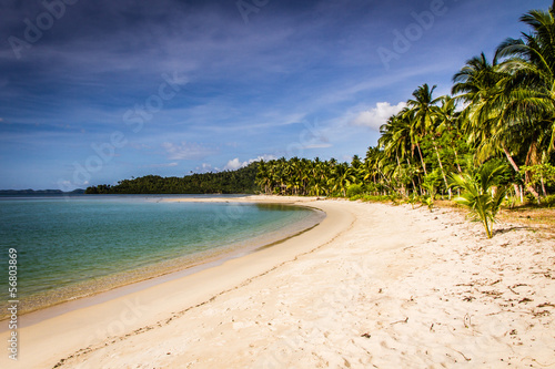 Tropical paradise beach with palms - Port Barton