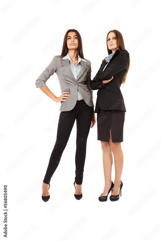 Attractive businesswomen on white background Attractive businesswomen on white background