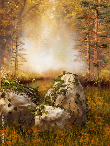 Fototapeta Skały z bluszczem na łące na tle jesiennego lasu