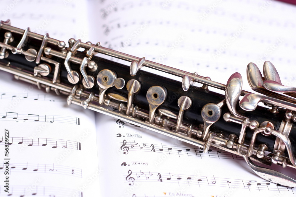 Obraz premium Oboe und Noten