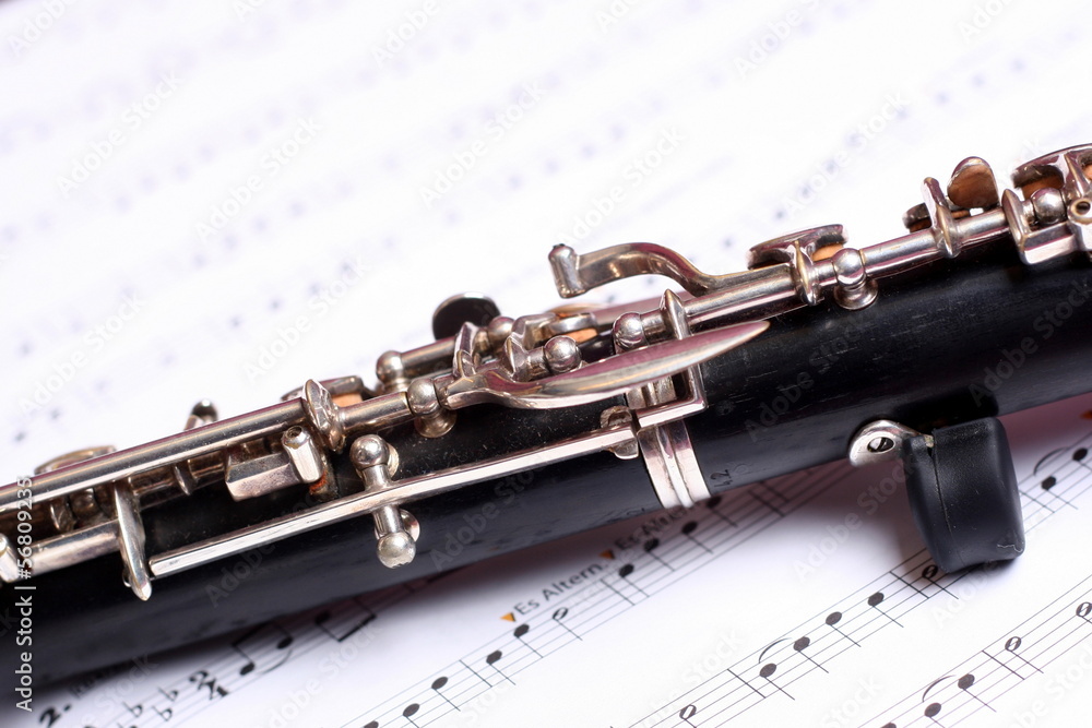 Obraz premium Oboe und Noten