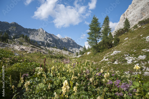 Triglav Lakes Valley