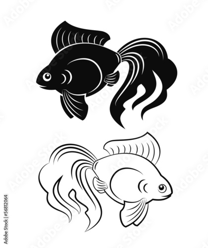 goldfish