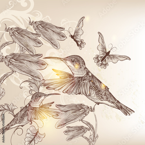 Vintage vector background with human bird, butterflies and flowe