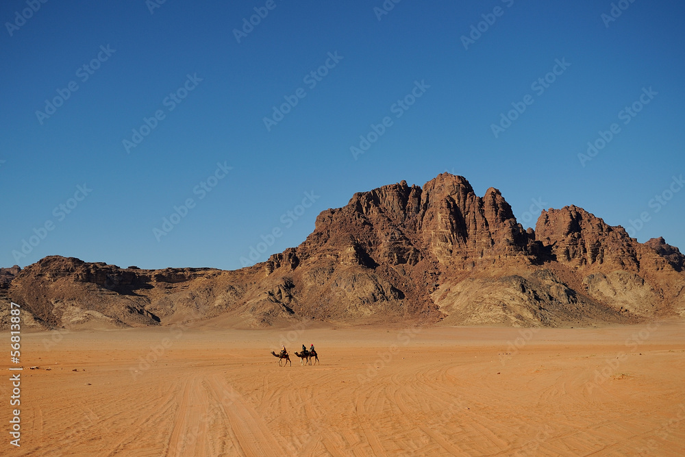 Wadi Rum Desert - Jordan - camel caravan