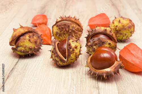 chestnuts and cape gooseberries close-up