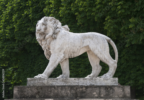 Löwe, Jardin du Luxembourg, Paris, Frankreich