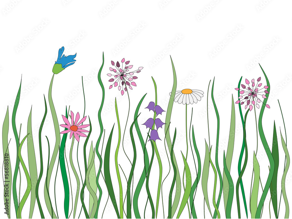 Vector grass with flowers Vector grass with flowers