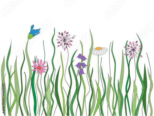 Vector grass with flowers © dinozzaver