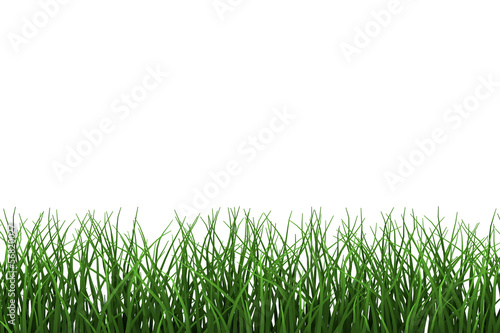 Border of fresh green spring grass