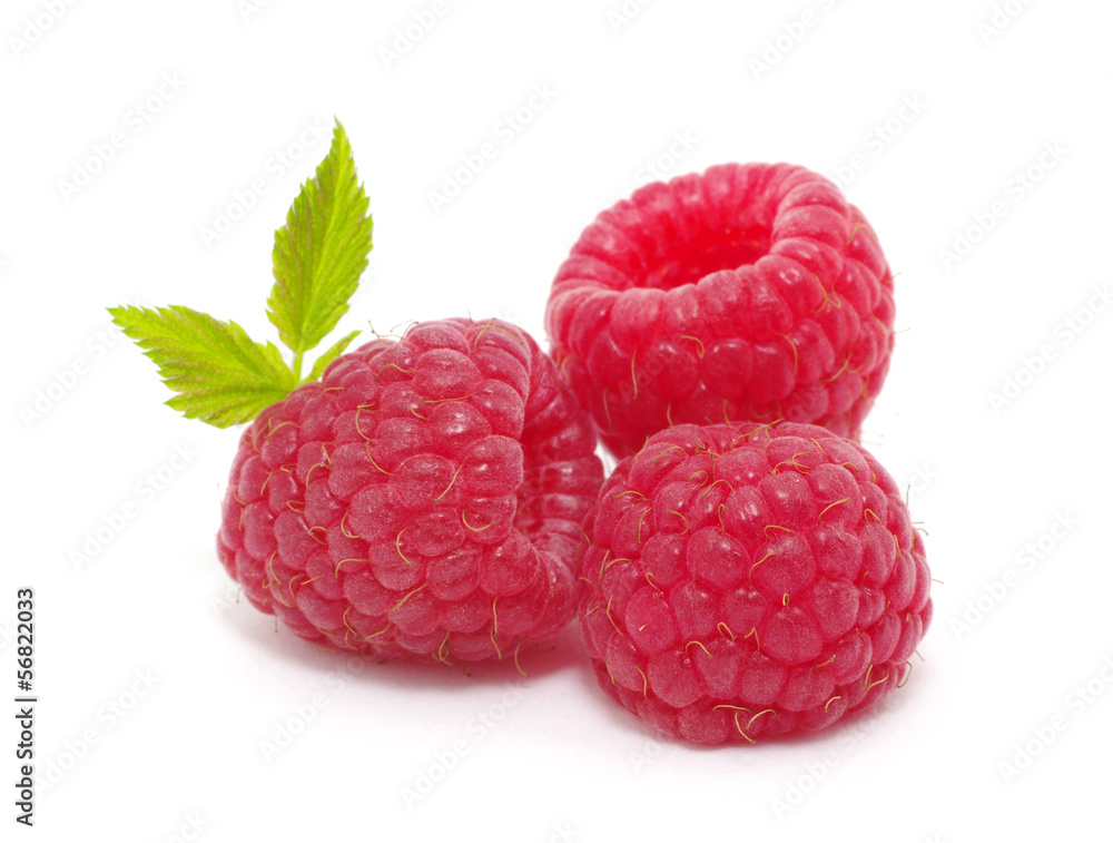 Raspberry Raspberry