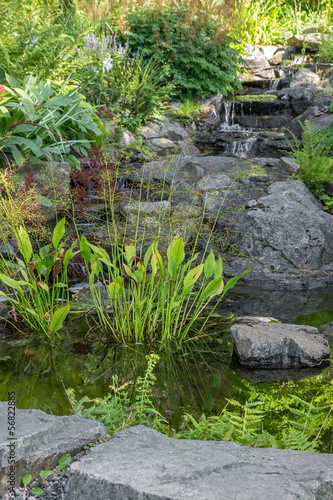 Garden decorated with stones and aquatic plants