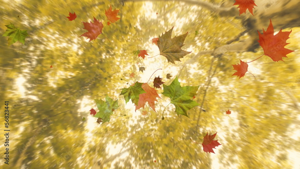 Hojas secas cayendo de los árboles