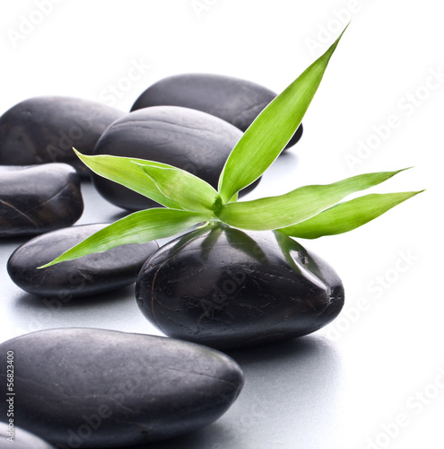 Zen pebbles. Stone spa and healthcare concept.