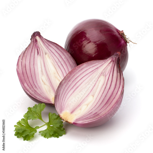 Red sliced onion and fresh parsley still life