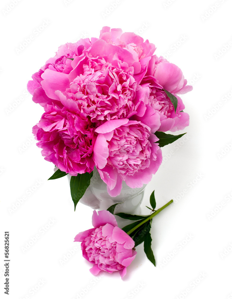 Bunch of peonies in vase isolated on white