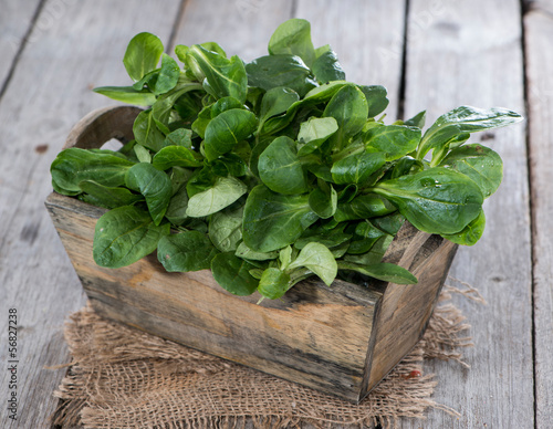 Tableau sur toile Lamb's Lettuce