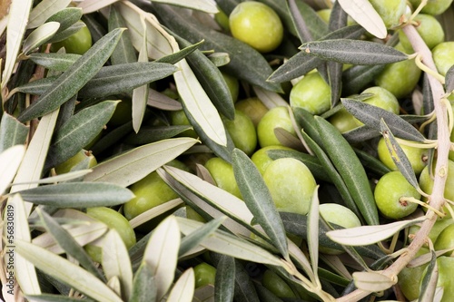 Mucchio di olive e foglie verdi photo