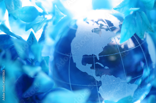 Glass globe
